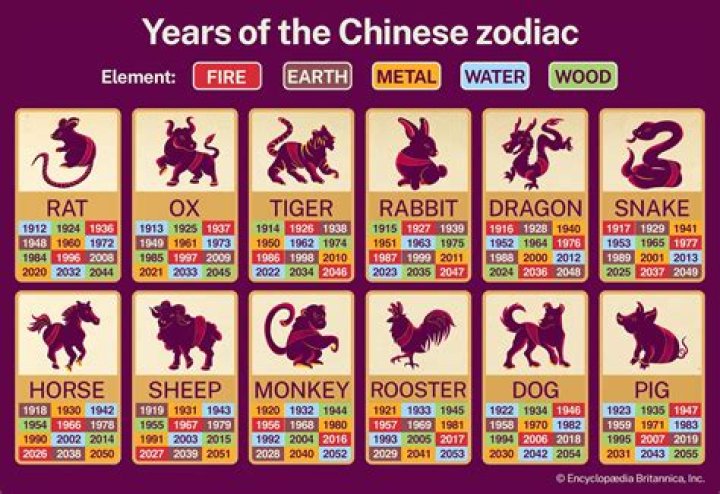 1955 Chinese Zodiac: Discover Your Zodiac Sign and Its Traits