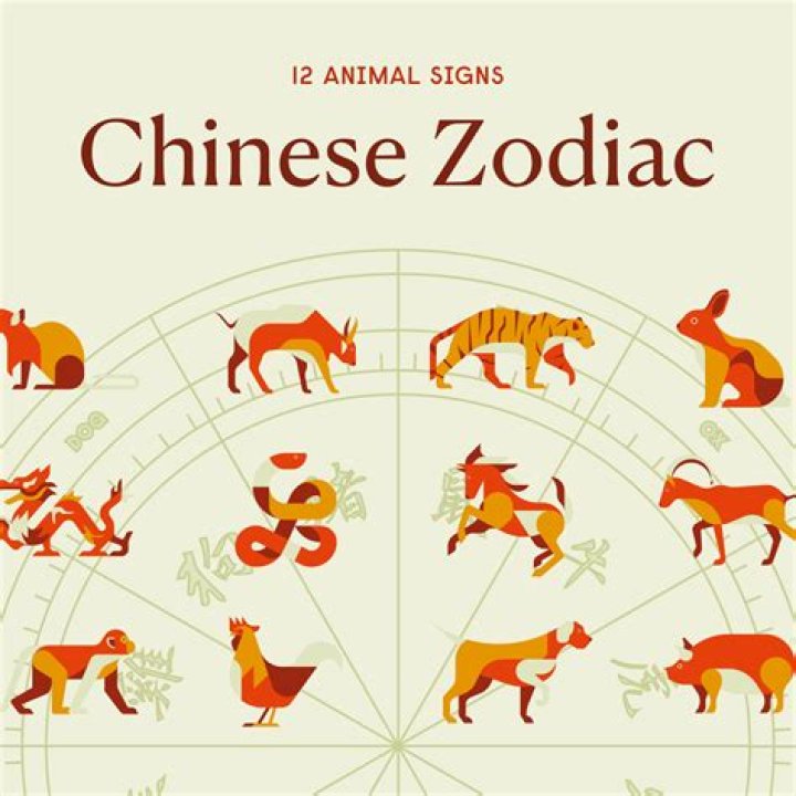 1965 Chinese Zodiac: Discover the Traits, Compatibility, and Predictions