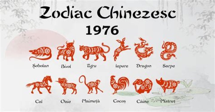 1976 Chinese Zodiac Animal: Discover Your Year of the Dragon