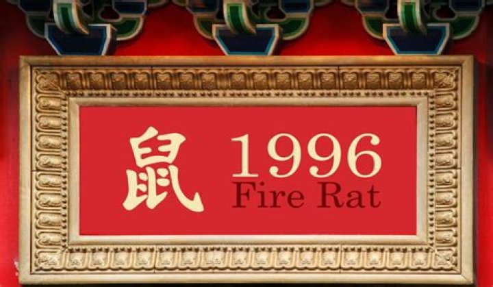 1996 Chinese Zodiac: Discover the Year of the Fire Rat and Its Traits