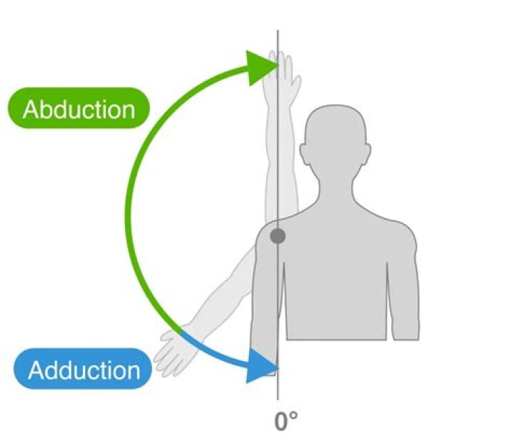 Abduction vs Adduction Anatomy: Understanding the Key Movements in Human Kinetics