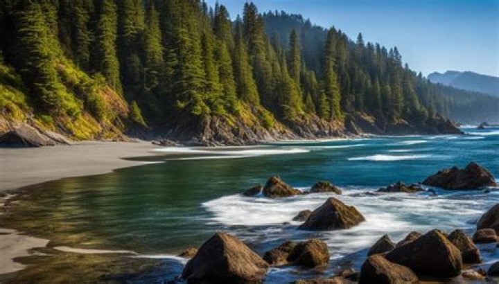 Alice Braga: The Rising Star of Hollywood's Diverse Landscape