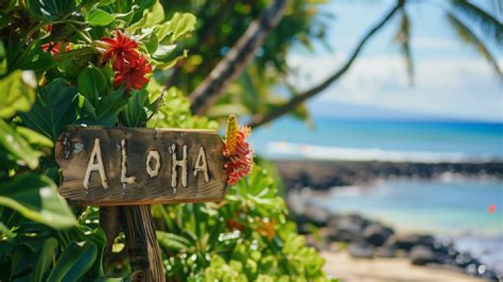 Aloha Goodbye: Exploring the Meaning, Origins, and Cultural Significance
