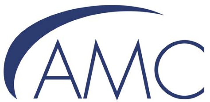 AMC High: Understanding the Rise and Future Prospects