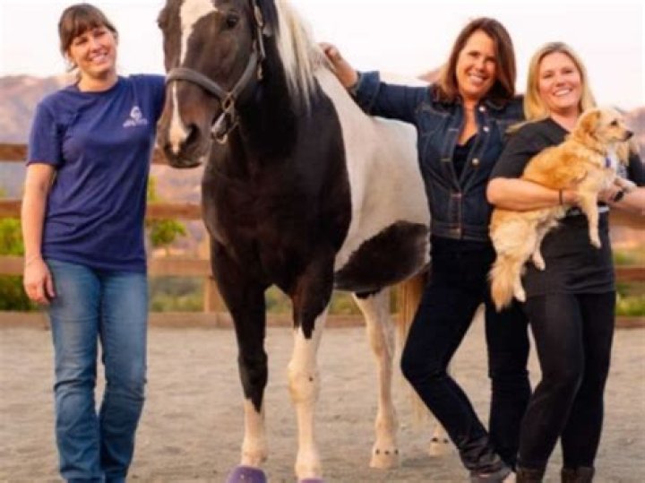 Angel Dugard: A Journey Through Fame and Personal Growth