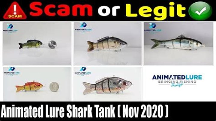 Animated Lure Shark Tank Net Worth: A Comprehensive Guide