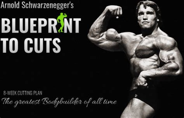 Arnold Schwarzenegger: The Blueprint for Success and Blue Altitude