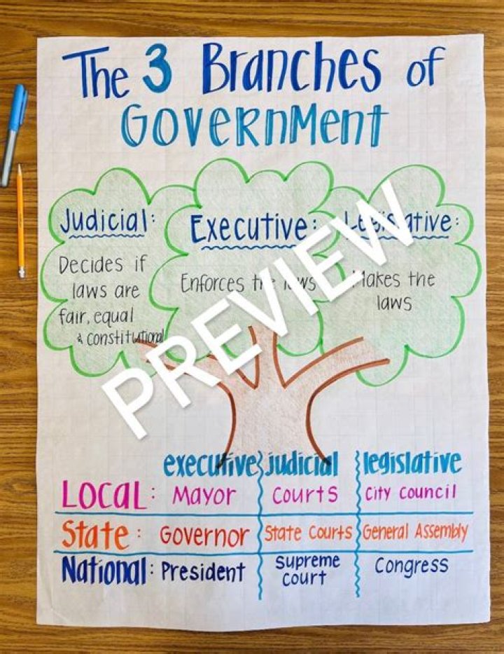 Article 2 of the Constitution Summary: Understanding the Executive Branch