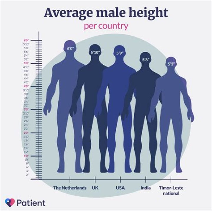 Average Height of Females in the US: A Comprehensive Overview