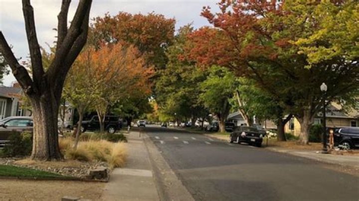 Average Weather in Sacramento: A Comprehensive Guide for Every Season