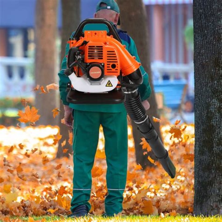 Backpack Gas Leaf Blowers: The Ultimate Guide to Efficient Yard Maintenance