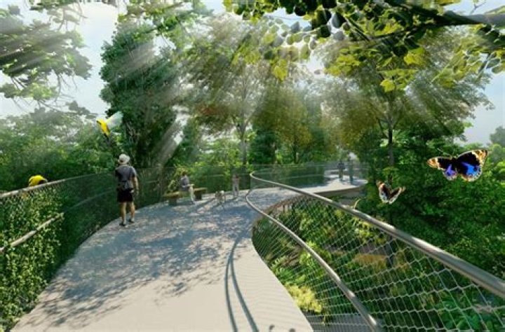 Bamboo Walk: A Journey Through Nature’s Green Corridor