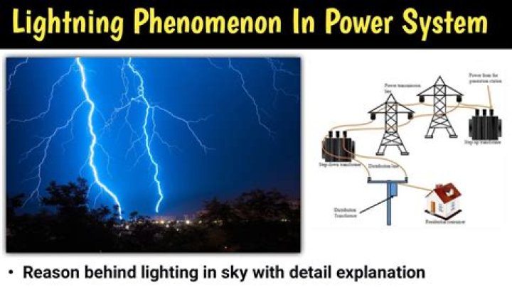 Bars Reaction: Understanding the Phenomenon and Its Impact