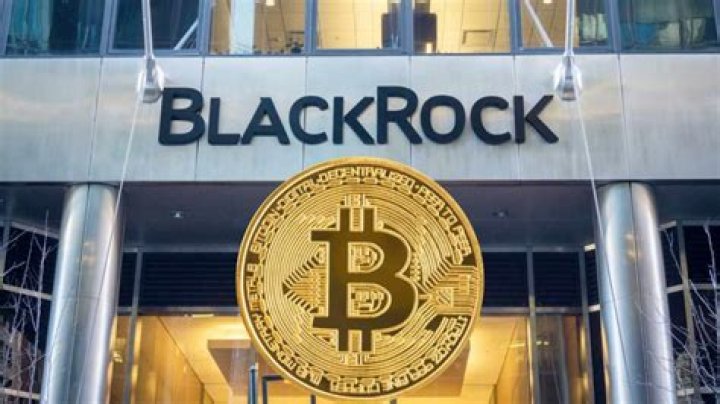 BlackRock Democrats: Exploring Their Influence on Modern Politics and Investment