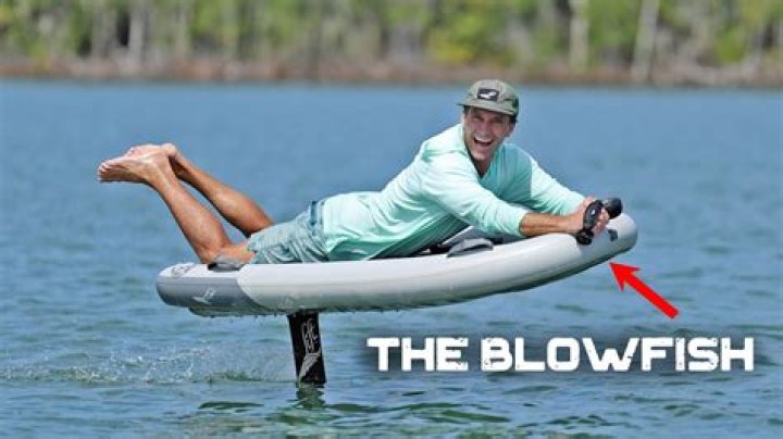 Blowfish Sushi: The Ultimate Guide to a Unique Culinary Experience