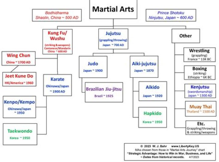 Bolo Yeung Biography: The Life and Legacy of a Martial Arts Legend