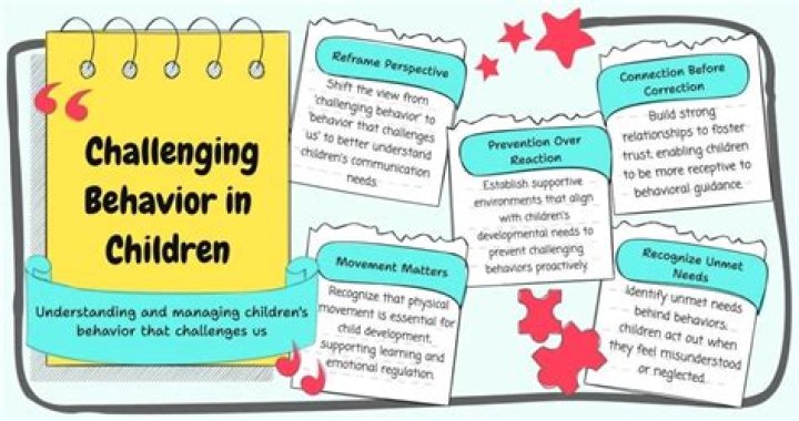 Bratty Baby: Understanding, Managing, and Transforming Challenging Behavior