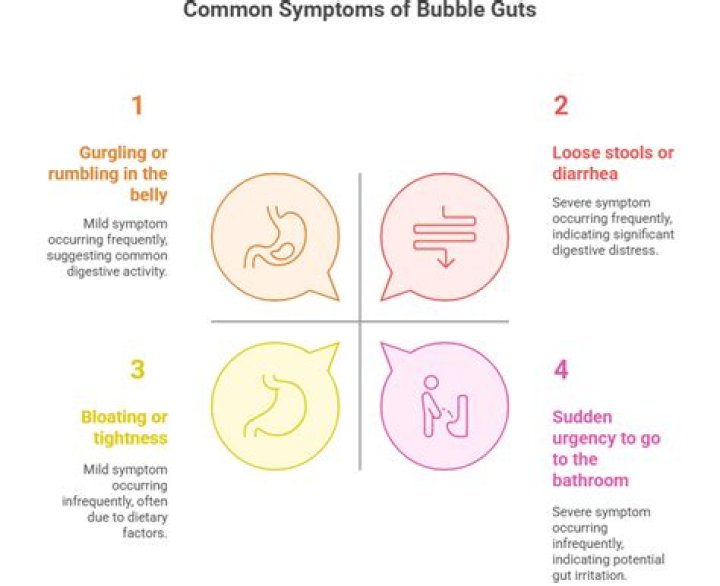 Bubble Guts Poop: Understanding Causes, Symptoms, and Treatments