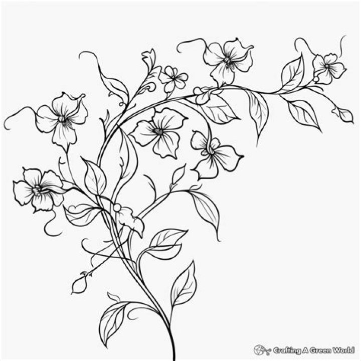 Captivating Creations: The Art of Flower Vine Drawing