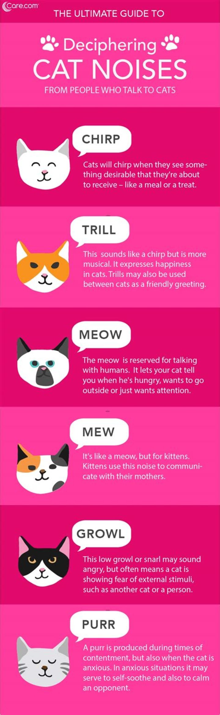 Cat Noises: What They Mean and How to Understand Your Feline Friend