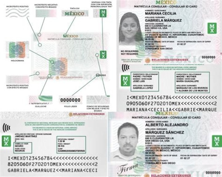 Comprehensive Guide to the Phone Number of Consulado Mexicano