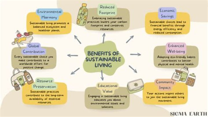Costco Living Desert: A Comprehensive Guide to Sustainable Living in Arid Regions