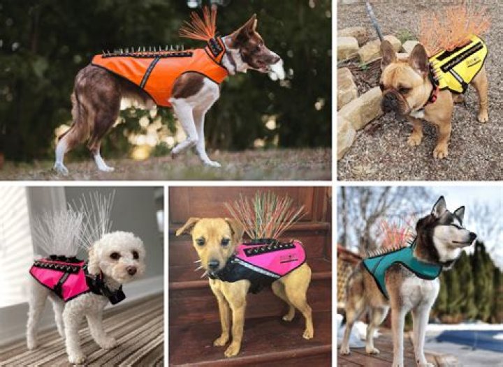 Coyote Dog Protective Vest: A Comprehensive Guide for Every Pet Owner