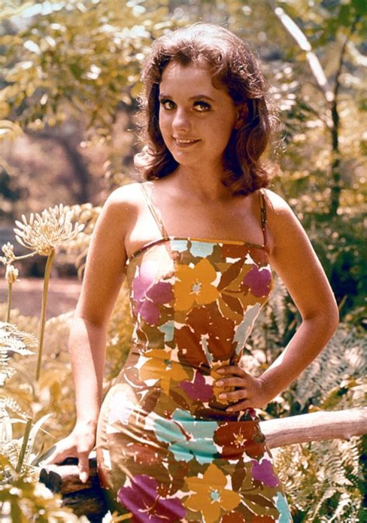 Dawn Wells TV Shows: A Comprehensive Look at Her Iconic Career
