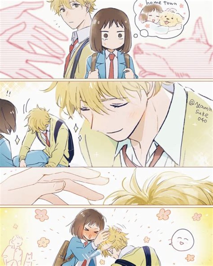 Did Dan and Anderena End Up Together? The Ultimate Guide to Their Love Story