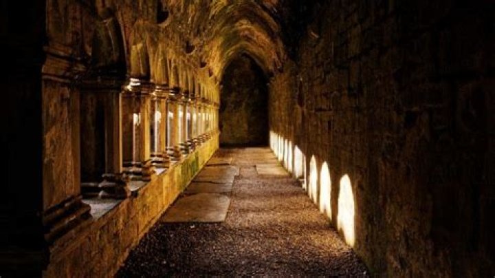 Discover Don Abbey's Astounding Net Worth