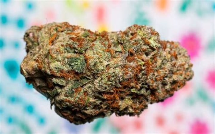 Discover Munchie-Free Weed Strains: Say Goodbye to Snack Cravings!