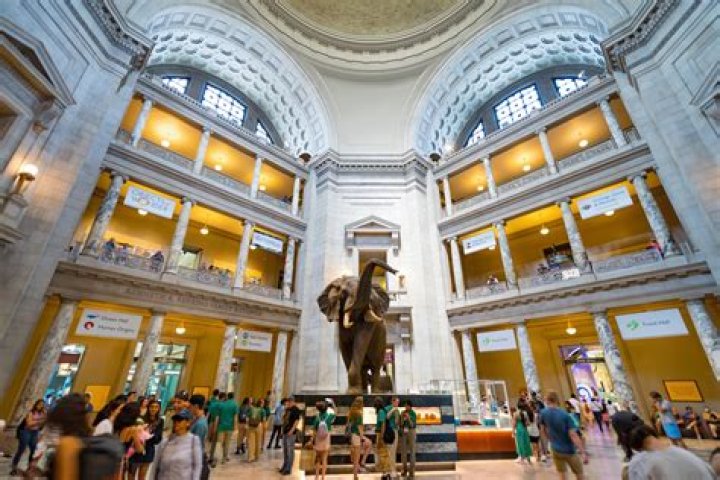 Discover the Best Free Museums in DC: A Comprehensive Guide