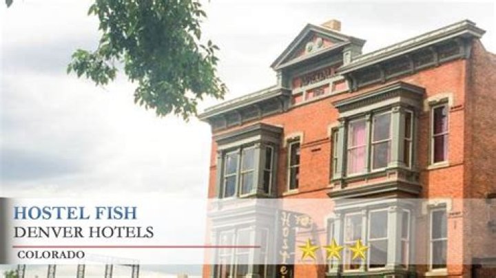 Discover the Best Hostel Fish Denver Experience