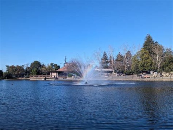 Discover the Best Walnut Creek, CA Theaters: A Comprehensive Guide