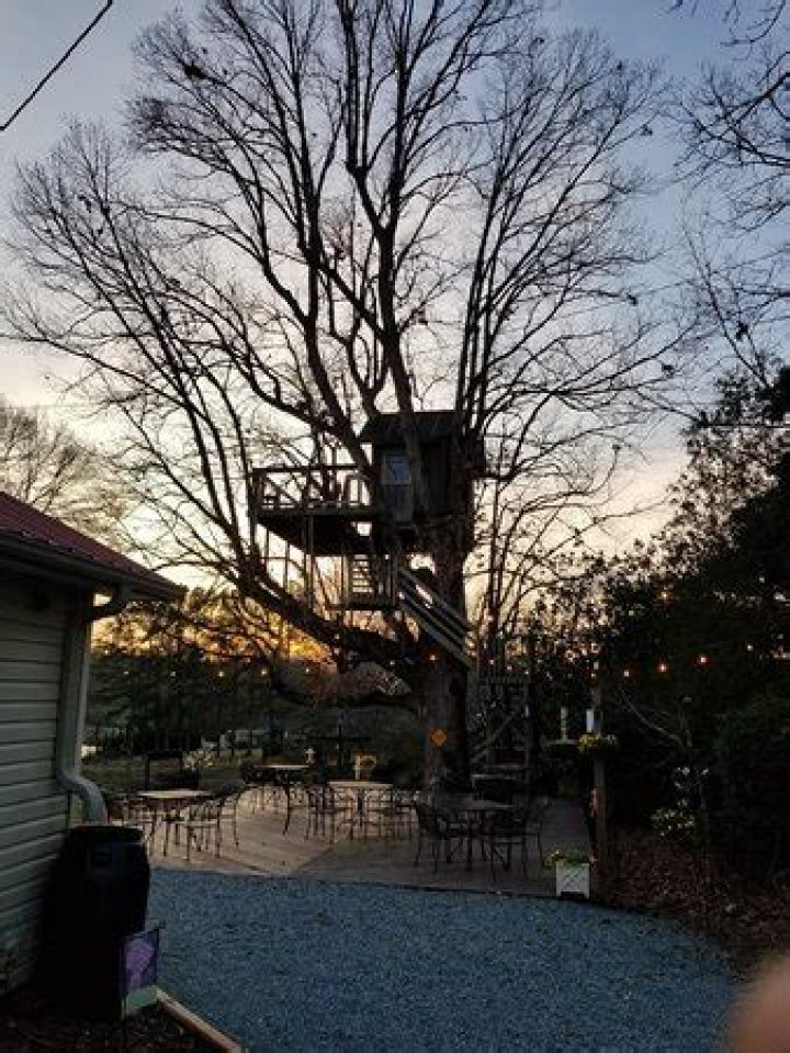 Discover the Enchanting Beauty of Treehouse Vineyards Monroe NC
