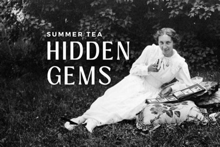 Discover the Hidden Gems of Maplewood MN 55117