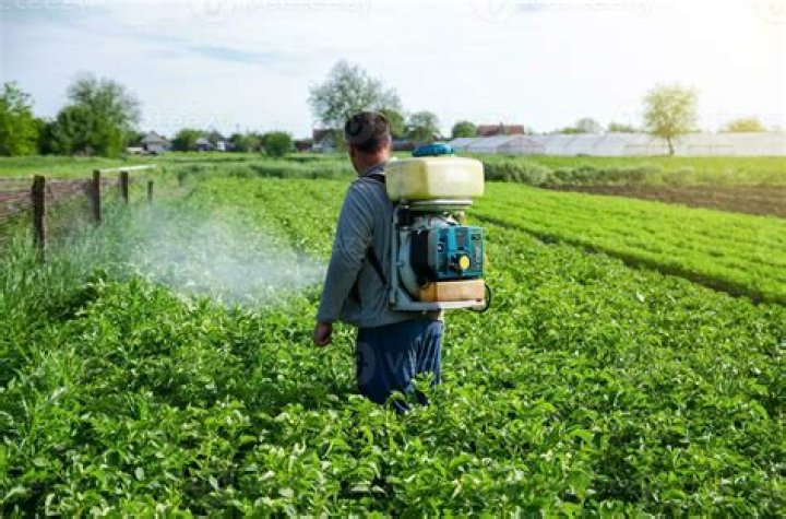 Discover the Truth: Pesticides in Stizzy - An In-depth Look