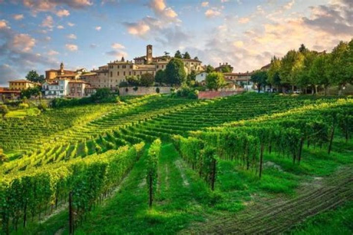 Discovering Barolo East: A Journey Through Wine and Culture