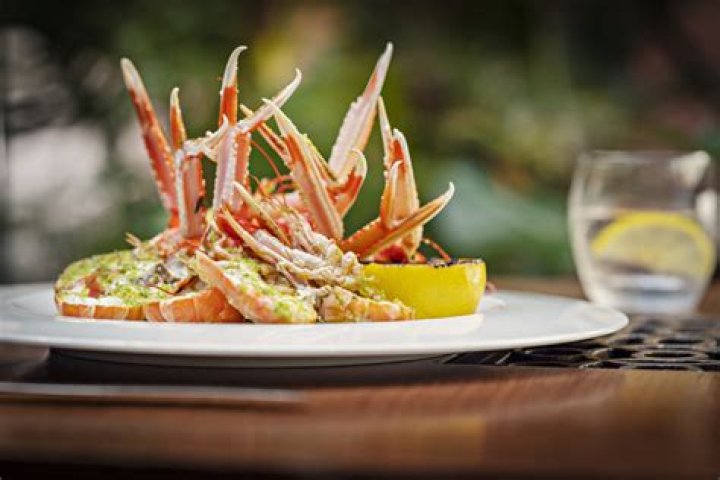 Discovering the Culinary Delights of Mary Lou's Restaurant in San Antonio