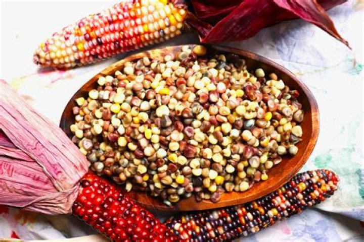 Discovering the Rich Heritage of Hominy Corn