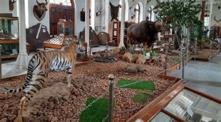 Discovering the Treasures of Diamond Bar HMart: A Shopping Paradise