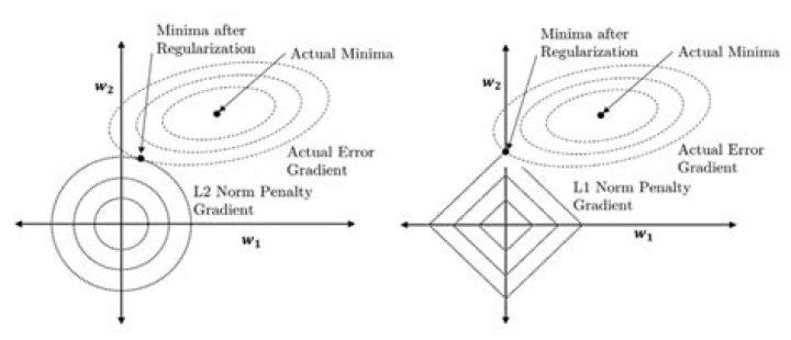 Discovering the World of Minimizer Bras: An In-Depth Guide to Comfort and Confidence