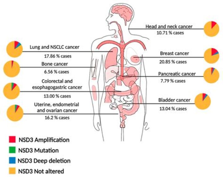 Does Melody Thomas Scott Have Cancer? Unraveling the Facts
