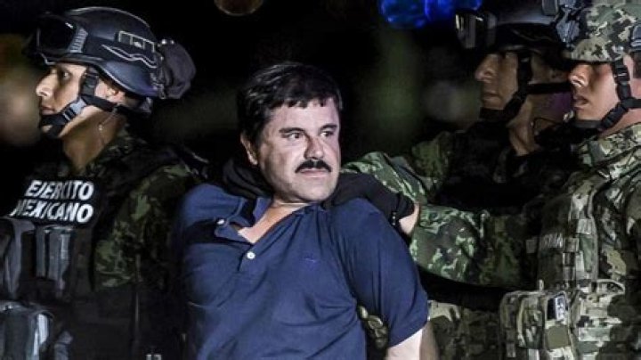 El Chapo Net Worth 2024: The Untold Story of Power, Wealth, and Legacy