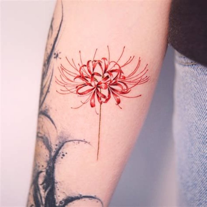Embracing the Elegance of the Red Spider Lily Tattoo