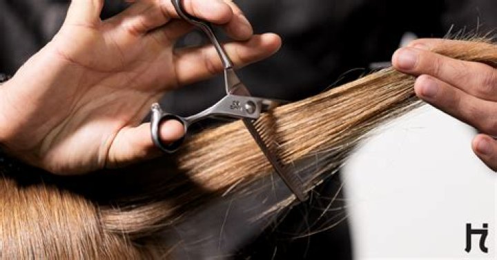 Everything You Need to Know About Hair Thinning Shears: A Comprehensive Guide