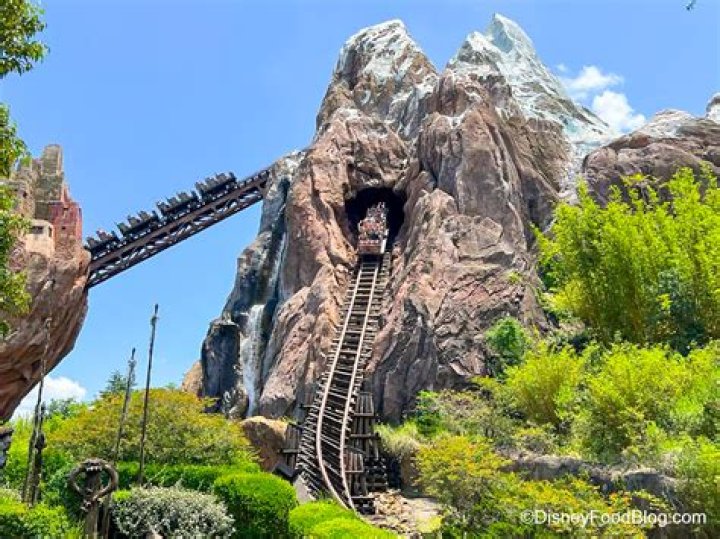 Expedition Everest: The Ultimate Adventure at Disney World