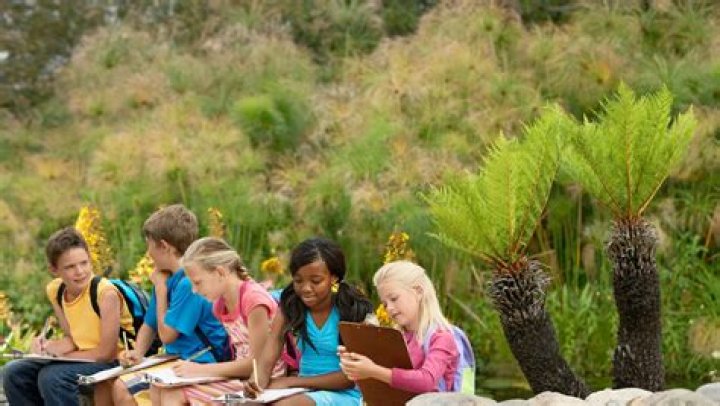 Exploring conversationswithrina com: A Comprehensive Guide