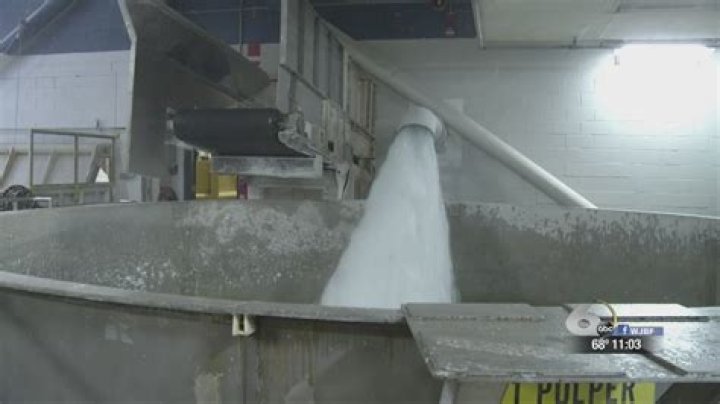 Exploring Kimberly-Clark's Beech Island: A Comprehensive Guide