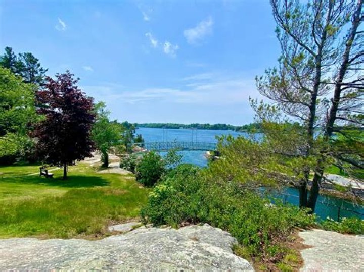 Exploring the Allure of Bay Drive in Alex Bay: A Comprehensive Guide